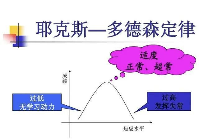 第一批被“鸡娃”废掉的孩子，不结婚不生子了（组图） - 4