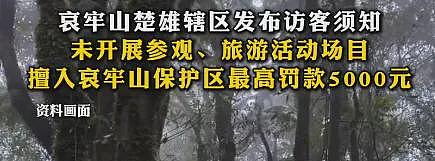 别去！哀牢山最诡异的一幕出现了，根本不是跟在颜料师身后的熊…（组图） - 7