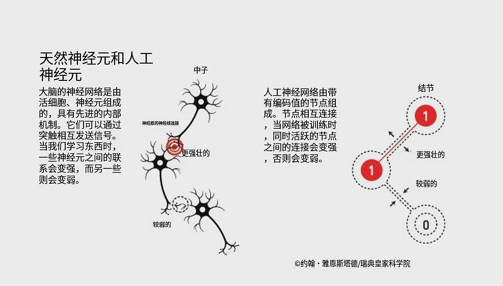 今年的诺贝尔物理学奖，竟然颁发给做AI的了……（组图） - 12