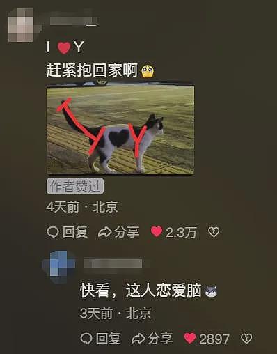 【宠物】网友说见到只“我爱你”花纹的小猫，我不信，点进一看...糟糕，我成恋爱脑了（组图） - 3