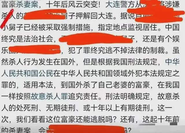 王思聪舅舅林友涉嫌杀妻，姐姐林宁曾2000亿救万达，妥妥的女强人（组图） - 7