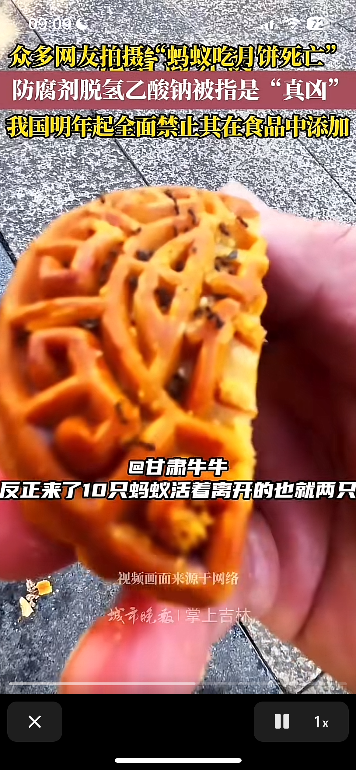 “夺命月饼”实验被曝：狗都不敢吃的东西，我们都在吃（视频/组图） - 3