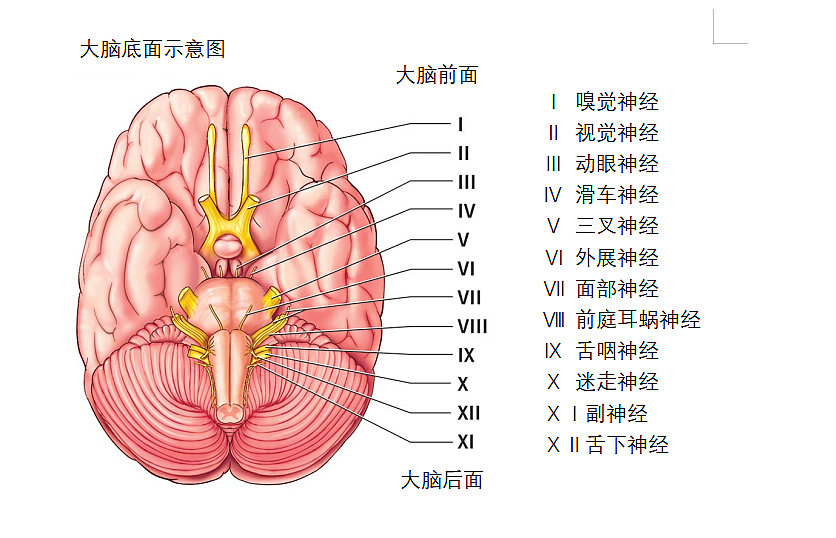 人是如何通过熬夜一步步作死的（组图） - 16