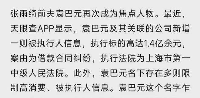 张雨绮再陷代孕风波！袁巴元前妻爆猛料，“小三门”后人设彻底崩塌？（组图） - 41