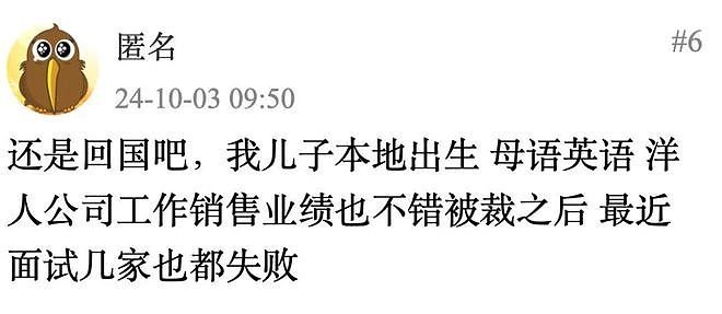 “只招新西兰本地人！”NZ华人吐槽找工作太难！网友辣评：老板称再也不招华人…（组图） - 12