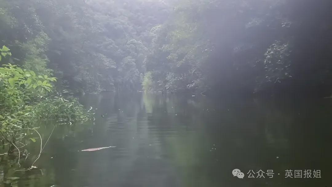 香港也有“哀牢山”？阿Sir进山失踪19年仅留喊“救命”录音与神秘数字，幸存者自曝遇诡异“神遮眼”（组图） - 3