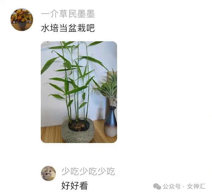 【爆笑】赶走了小3，男友补偿我5w？我该分手吗？网友夺笋：拿着钱假装爱他（组图） - 12