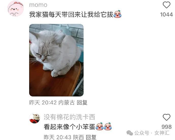 【爆笑】赶走了小3，男友补偿我5w？我该分手吗？网友夺笋：拿着钱假装爱他（组图） - 40