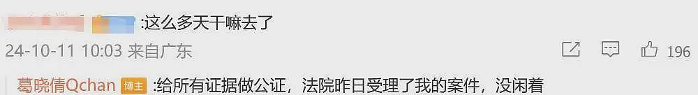 葛晓倩暗指张雨绮代孕，晒聊天记录有理有据，这是塌房在即了？（组图） - 23