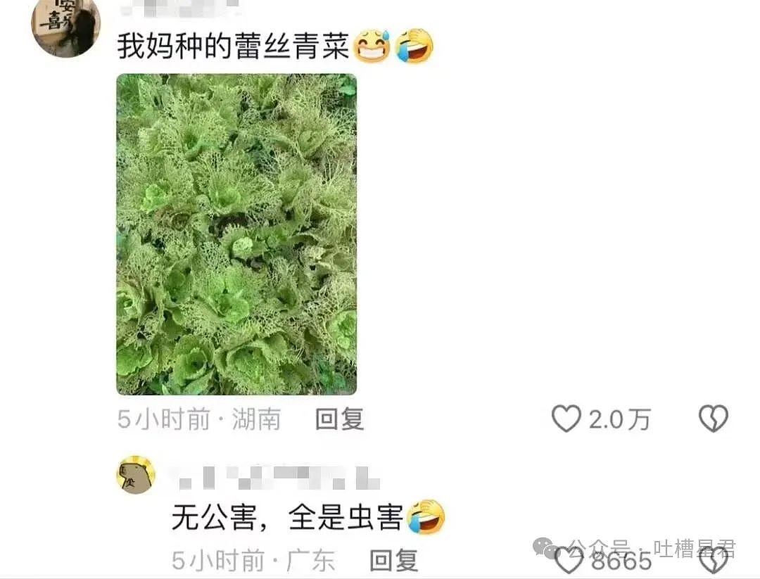 【爆笑】舒淇被陌生男网友硬核搭讪？网友：一句话让女神为我改名（组图） - 58