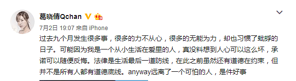 张雨绮再陷代孕风波！袁巴元前妻爆猛料，“小三门”后人设彻底崩塌？（组图） - 34