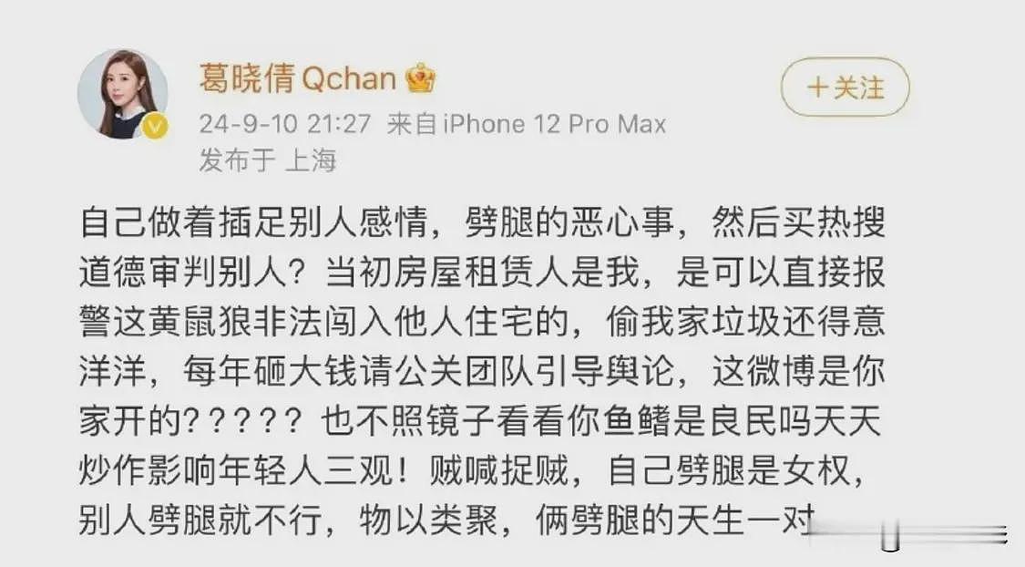 葛晓倩暗指张雨绮代孕，晒聊天记录有理有据，这是塌房在即了？（组图） - 5