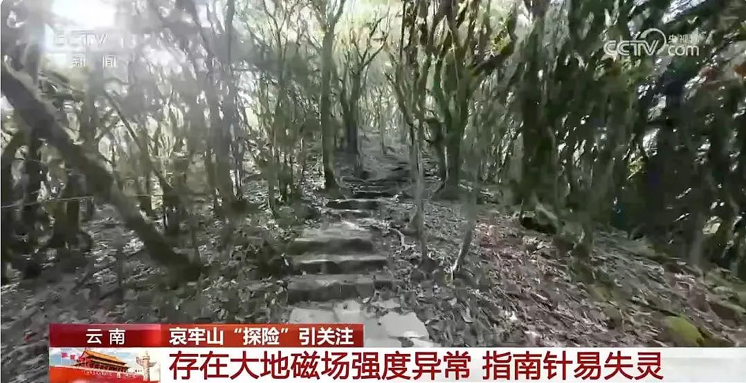 现实版《云南虫谷》：“地界入口”哀牢山，“阴兵借道”惊马槽？（组图） - 14