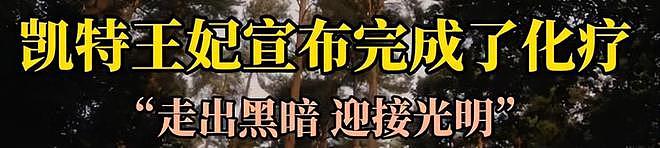 凯特王妃癌症治疗后首次公开参加活动：头发浓密，也长胖了很多（组图） - 10