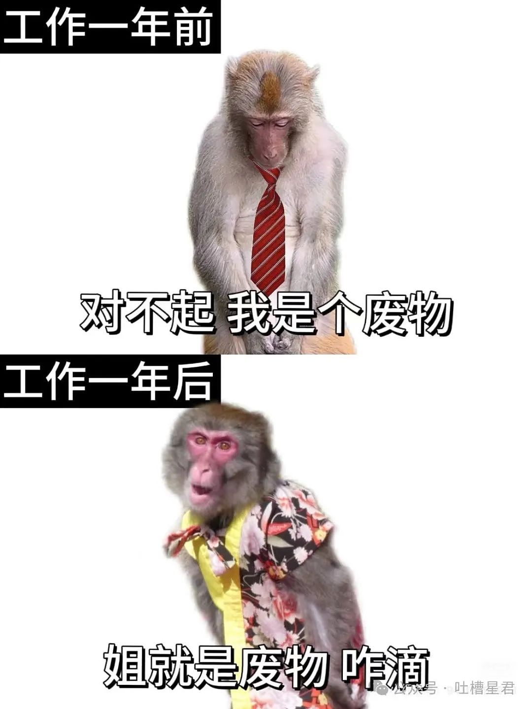 【爆笑】“为网恋对象两年豪掷五百万？！”网友：好好好就我碰不到是吧？（组图） - 118