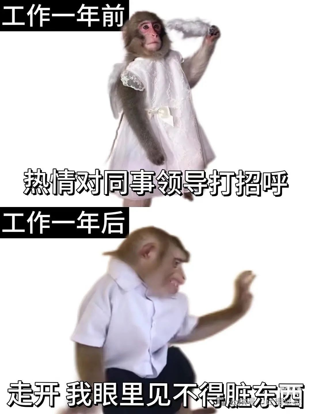 【爆笑】“为网恋对象两年豪掷五百万？！”网友：好好好就我碰不到是吧？（组图） - 117