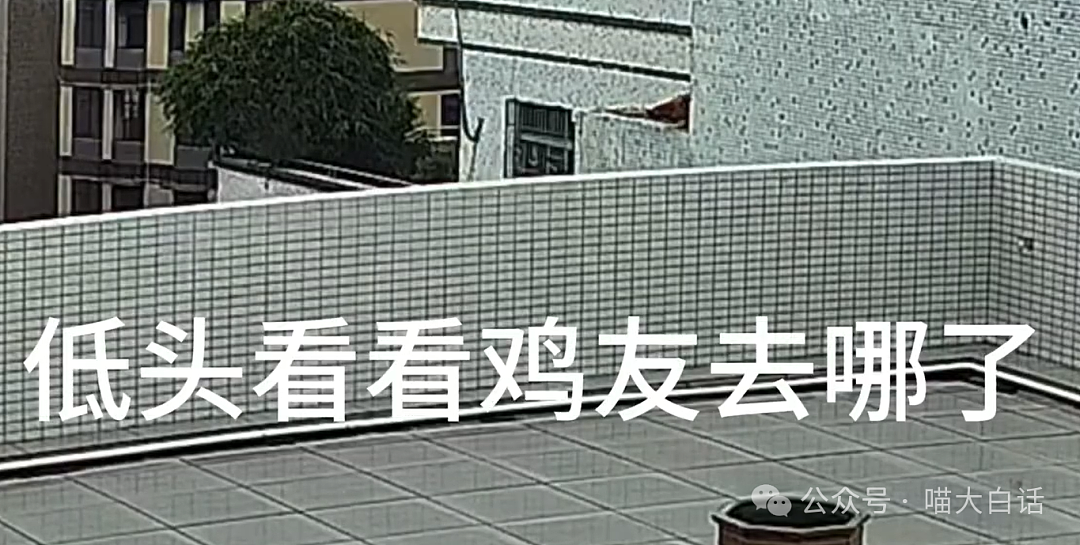 【爆笑】“忘记回暗恋对象消息怎么办？”哈哈哈哈哈公式做题就是快（组图） - 23