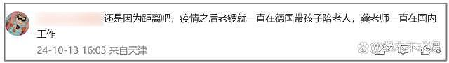 49岁龚琳娜官宣与德国丈夫离婚！原因疑曝光，俩混血儿子近况曝光（组图） - 11