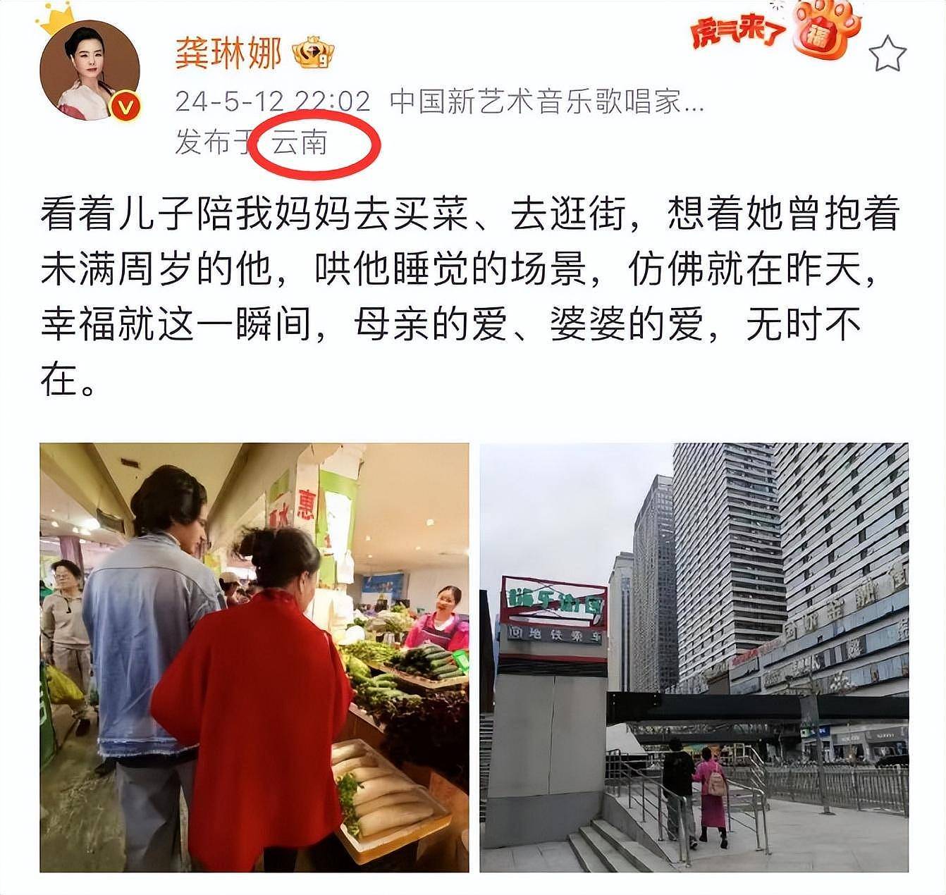 龚琳娜官宣与德国丈夫离婚，知情者曝原因，俩混血儿子疑归女方（组图） - 12