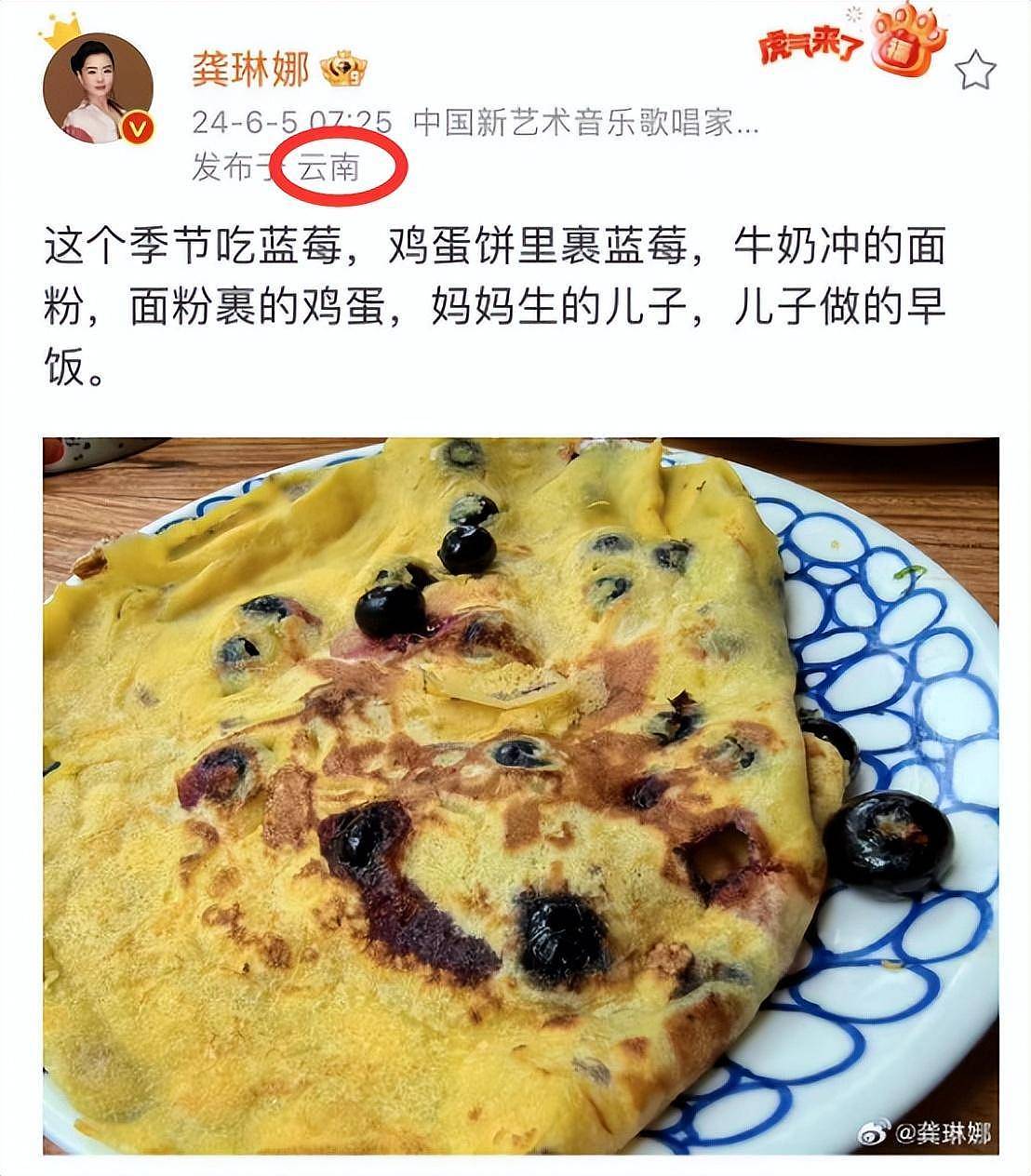 龚琳娜官宣与德国丈夫离婚，知情者曝原因，俩混血儿子疑归女方（组图） - 14