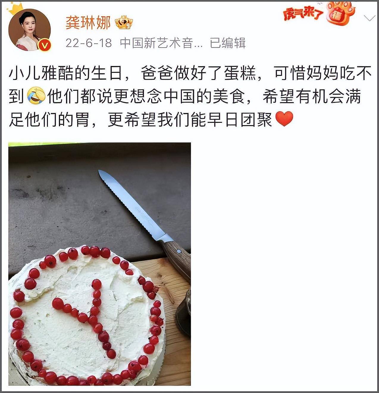 龚琳娜官宣与德国丈夫离婚，知情者曝原因，俩混血儿子疑归女方（组图） - 11