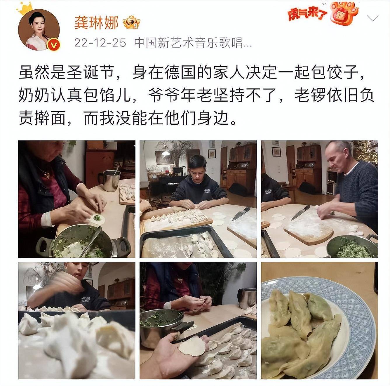 龚琳娜官宣与德国丈夫离婚，知情者曝原因，俩混血儿子疑归女方（组图） - 10