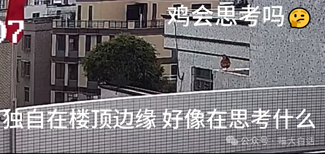 【爆笑】“忘记回暗恋对象消息怎么办？”哈哈哈哈哈公式做题就是快（组图） - 26