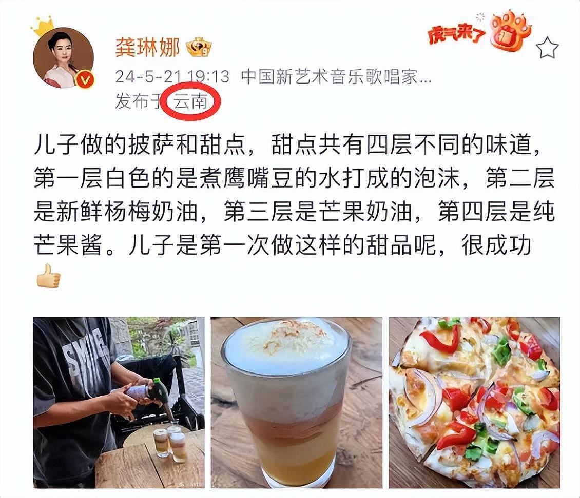 龚琳娜官宣与德国丈夫离婚，知情者曝原因，俩混血儿子疑归女方（组图） - 13