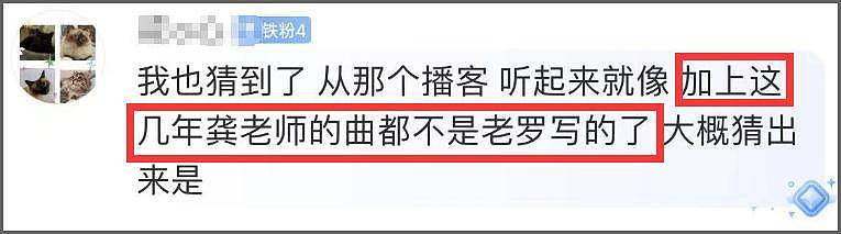 龚琳娜官宣与德国丈夫离婚，知情者曝原因，俩混血儿子疑归女方（组图） - 9