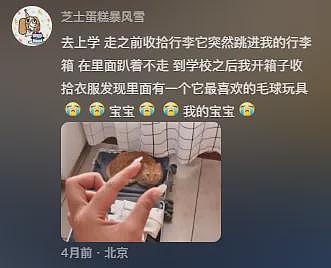 【宠物】主人发烧躺床上没吃饭，猫咪暖心叼来猫粮给主人吃，网友：真的在一只猫脸上看见了担心....（组图） - 23