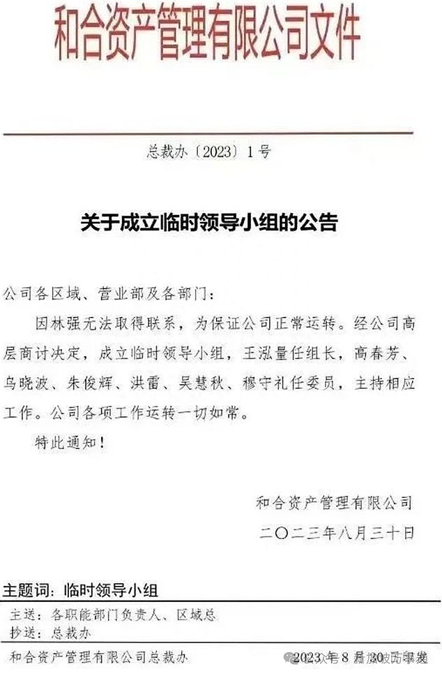 非法集资990亿的中国资本大佬，潜逃东南亚被捕！知情人：家人现身新加坡转移资产…（组图） - 10