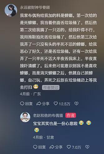 【宠物】主人发烧躺床上没吃饭，猫咪暖心叼来猫粮给主人吃，网友：真的在一只猫脸上看见了担心....（组图） - 18