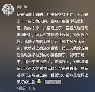 【宠物】主人发烧躺床上没吃饭，猫咪暖心叼来猫粮给主人吃，网友：真的在一只猫脸上看见了担心....（组图） - 24