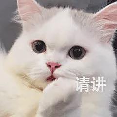 【宠物】主人发烧躺床上没吃饭，猫咪暖心叼来猫粮给主人吃，网友：真的在一只猫脸上看见了担心....（组图） - 11