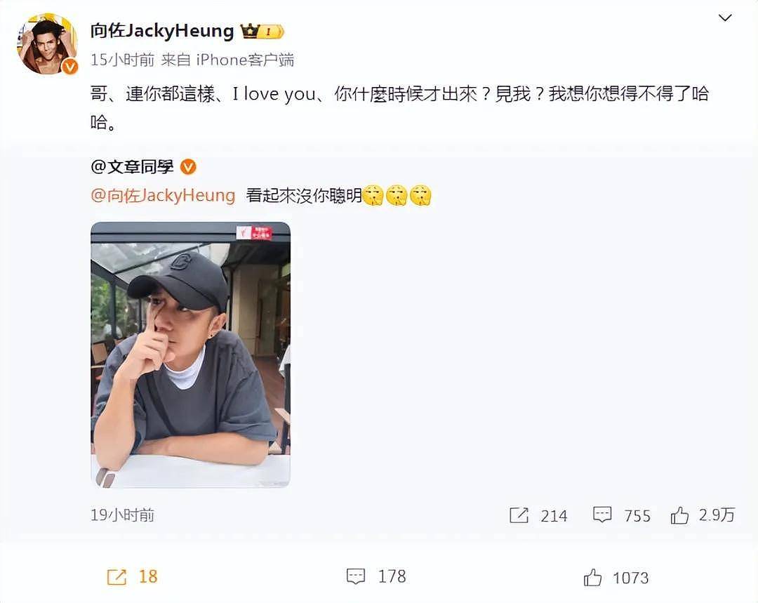 文章模仿向佐表情包被嘲讽，还遭本人贴脸回怼？想不到二人背后有这样的渊源（组图） - 9