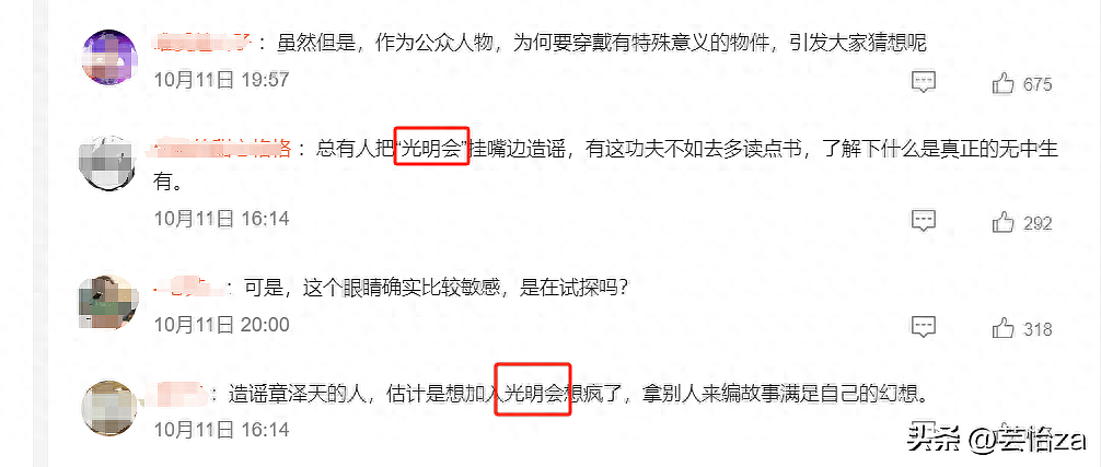 京东：已报案！章泽天“胸针”引发热议！造型师：一点关系也没有，网友：骗鬼（组图） - 14