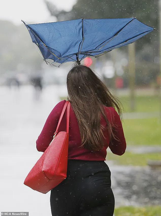 狂风暴雨席卷澳洲！未来几天东海岸暴雨将持续，本周全澳天气一览！（组图） - 3