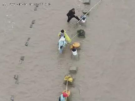 听说上海海蜇泛滥？有人忍不住了，特地赶海去捞，结果因太过投入，遇涨潮悲剧了...（组图） - 6