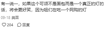 国外女孩从Temu 买了一款羊角包灯，却发现数百只蚂蚁，然后她咬了一口这灯...（组图） - 17