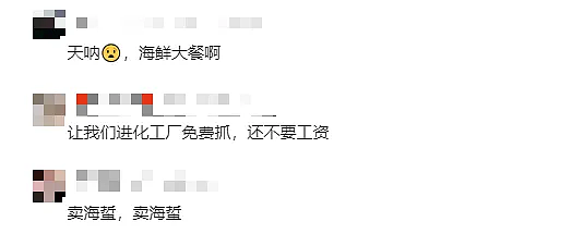 听说上海海蜇泛滥？有人忍不住了，特地赶海去捞，结果因太过投入，遇涨潮悲剧了...（组图） - 4