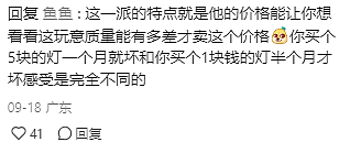 国外女孩从Temu 买了一款羊角包灯，却发现数百只蚂蚁，然后她咬了一口这灯...（组图） - 20