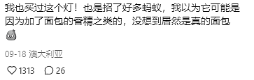 国外女孩从Temu 买了一款羊角包灯，却发现数百只蚂蚁，然后她咬了一口这灯...（组图） - 11