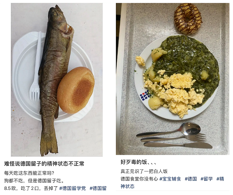 20万老外围观的中国食堂大锅饭，勾起了北美中产的反思文学（组图） - 40