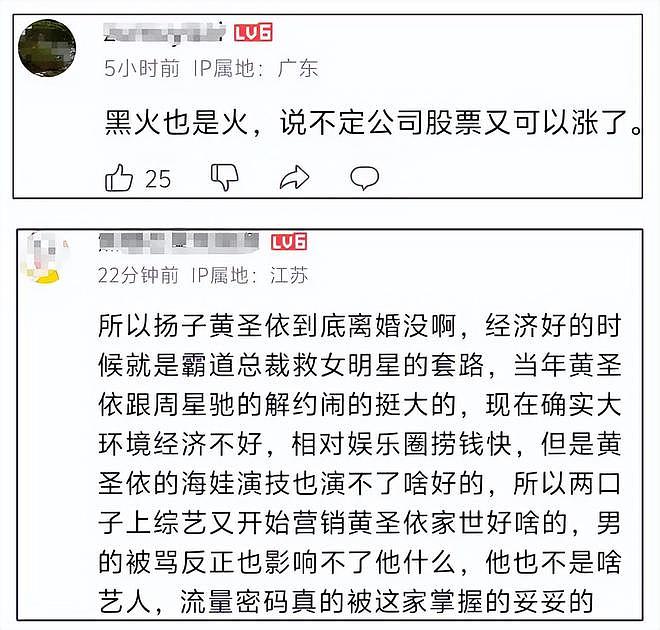 杨子被质疑假富豪，原来是家族企业靠哥哥发家，空有股份没实权（组图） - 23