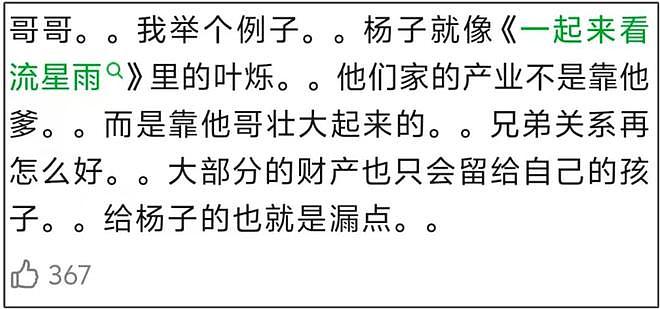 杨子被质疑假富豪，原来是家族企业靠哥哥发家，空有股份没实权（组图） - 15