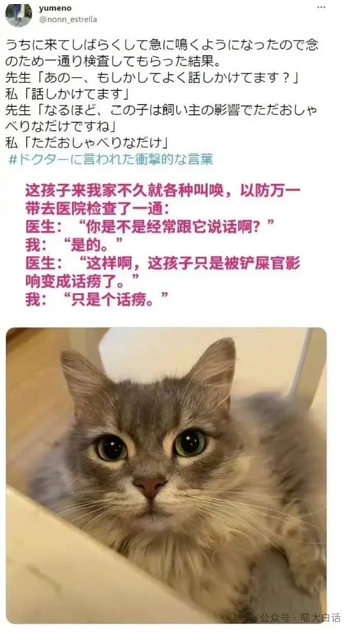 【爆笑】“学妹拉黑我后向我表白？”哈哈哈哈哈这什么强制爱（组图） - 105