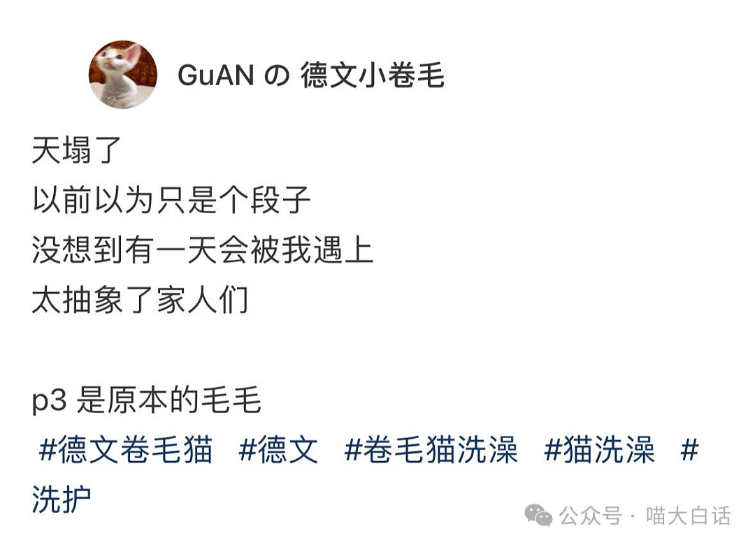 【爆笑】“同事离职后被老板追到机场挽留？”哈哈哈哈哈没有你可怎么活啊（组图） - 23