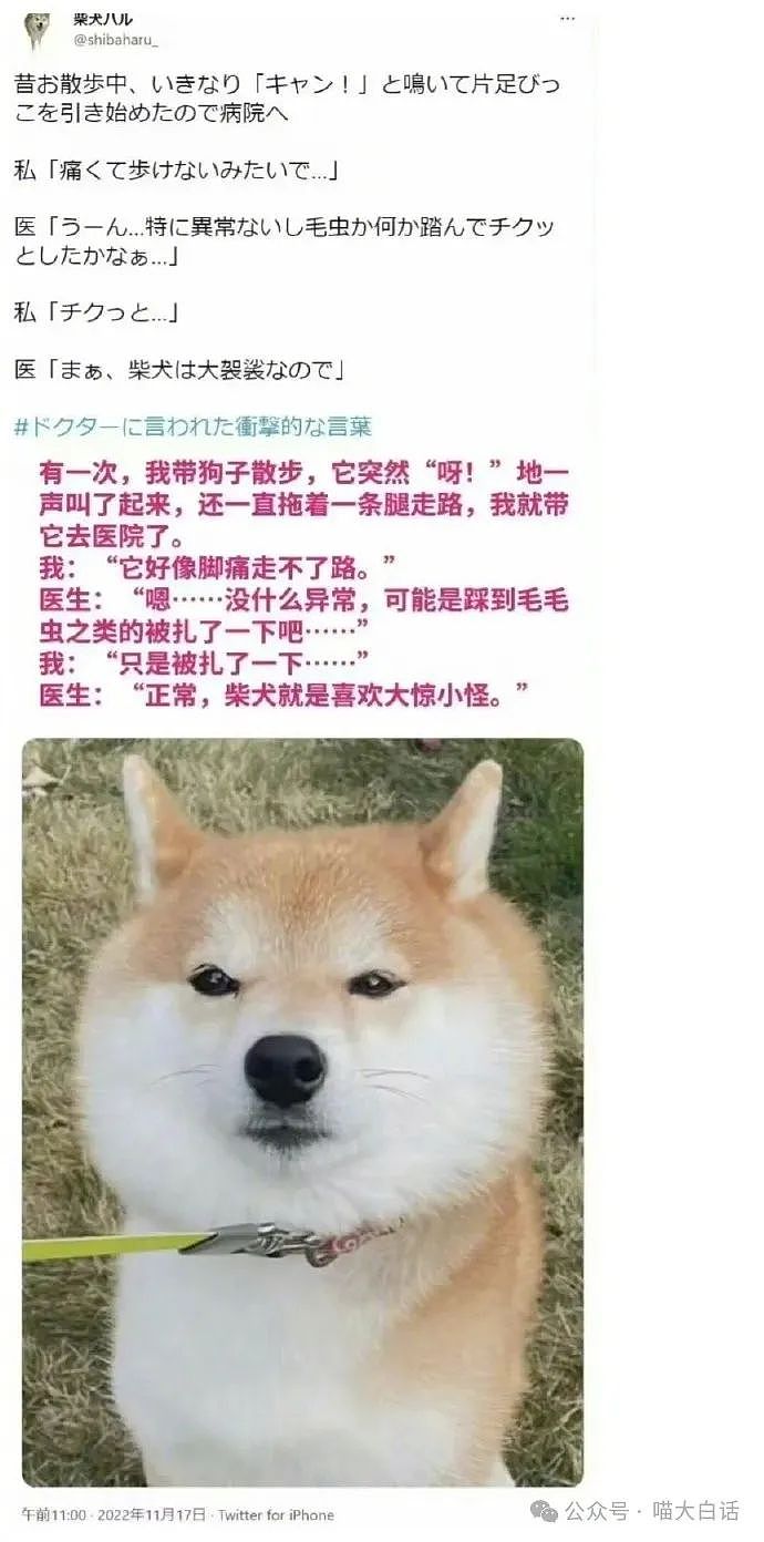 【爆笑】“学妹拉黑我后向我表白？”哈哈哈哈哈这什么强制爱（组图） - 102