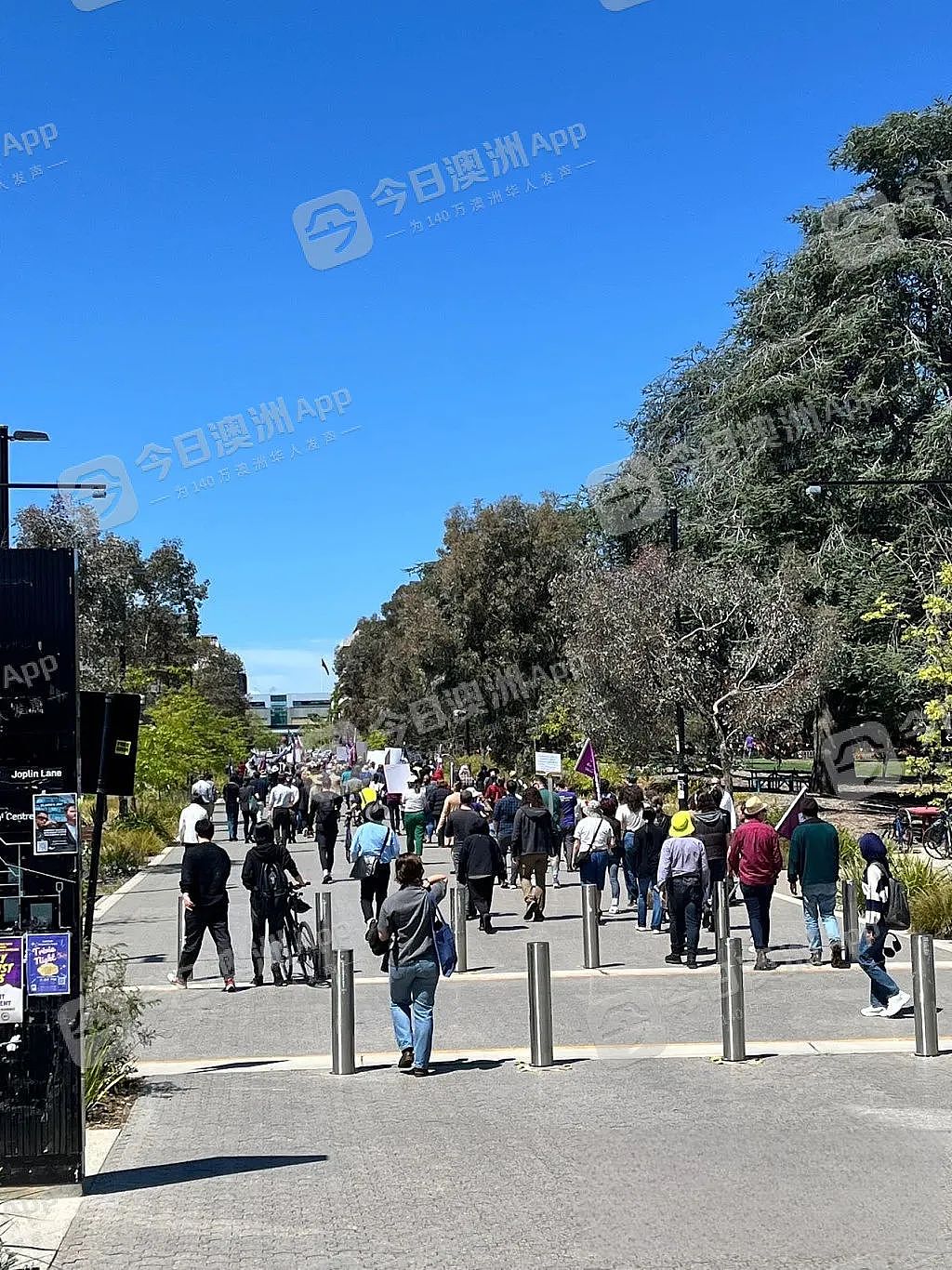 “只是冰山一角！”学签收紧招生受限，裁员潮席卷澳洲高校！“大学不再是铁饭碗”，华人职员亲历“行业寒冬”（组图） - 2