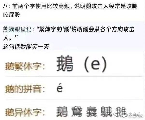 【爆笑】“同事离职后被老板追到机场挽留？”哈哈哈哈哈没有你可怎么活啊（组图） - 11